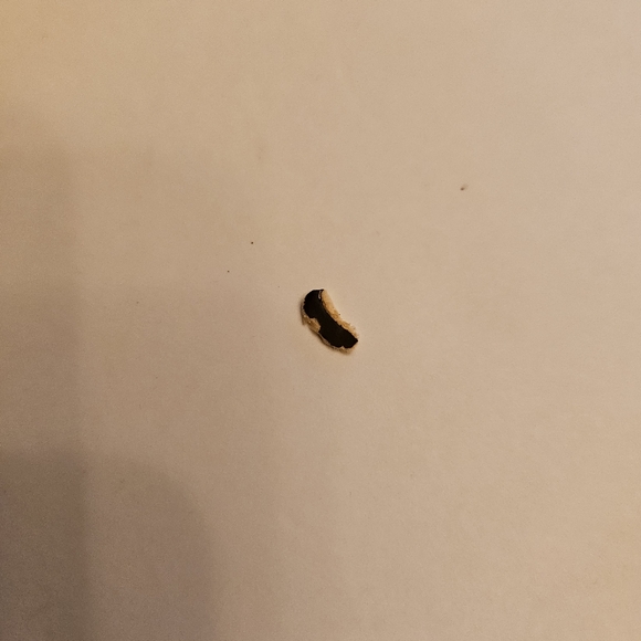 BULOVA Mantle Clock, analog wood espresso brown satin finish - Picture 11 of 17